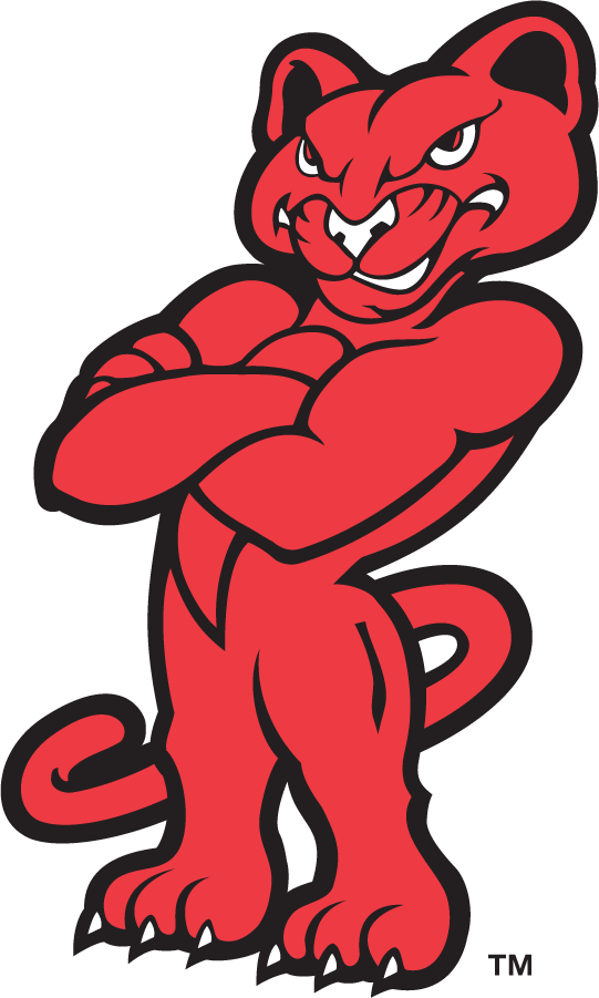 Houston Cougars 1996-2003 Mascot Logo iron on transfers for clothing